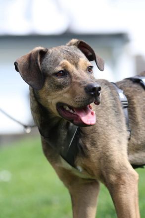 Mel möchte mit Dir die Welt entdecken.