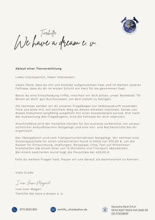 ACE - sanfter Rüde sucht Familie