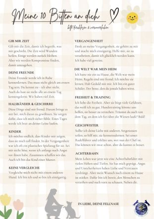 ACE - sanfter Rüde sucht Familie