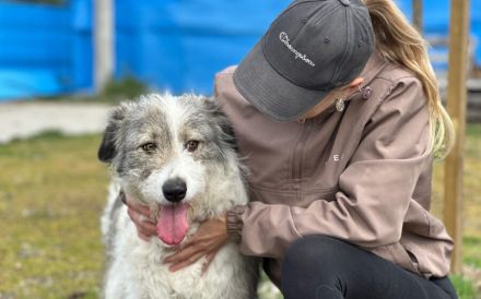 Schüchterne Lykke: Traumhund für geduldige Zweibeiner!