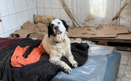 Notfall Robinson sucht guten Samariter