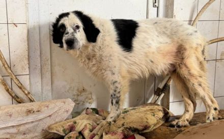Notfall Robinson sucht guten Samariter