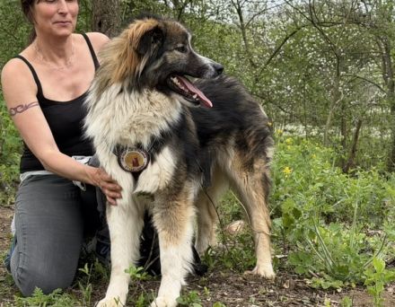 Bildschöner und liebenswerter Kaspar sucht Haus im Grünen