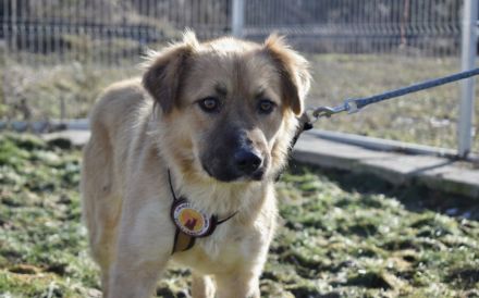 Milina - bezaubernd schön und freundlich