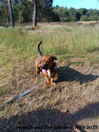 Karamel braucht Training