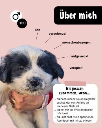 BALU möchten die Welt kennenlernen