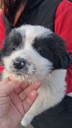 BALU möchten die Welt kennenlernen