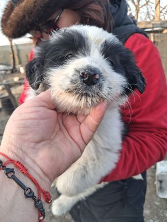 BALU möchten die Welt kennenlernen