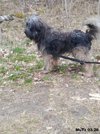 Pepper, sehr lieb und verträglich