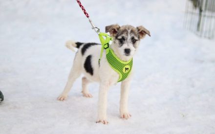 Zauberhafte Maila möchte bei dir wohnen