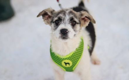 Zauberhafte Maila möchte bei dir wohnen