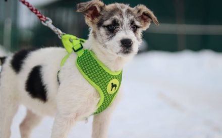 Zauberhafte Maila möchte bei dir wohnen