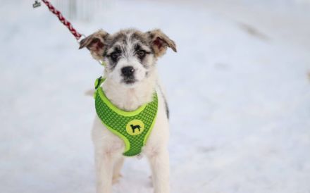 Zauberhafte Maila möchte bei dir wohnen