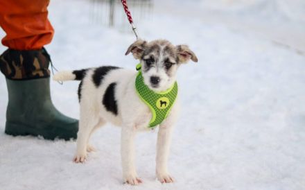 Zauberhafte Maila möchte bei dir wohnen