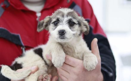 Zauberhafte Maila möchte bei dir wohnen