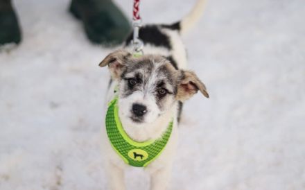 Zauberhafte Maila möchte bei dir wohnen