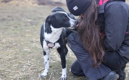 Familie gesucht für Josi