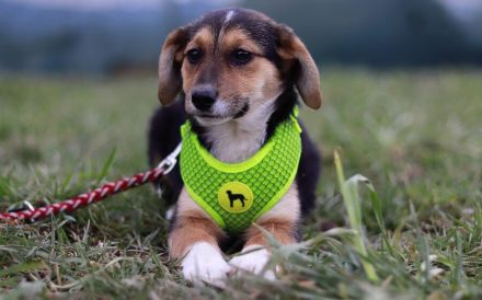 Die kleine Thea wartet auf ihre Familie