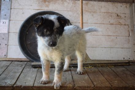 Lieblingsmensch für Yara gesucht