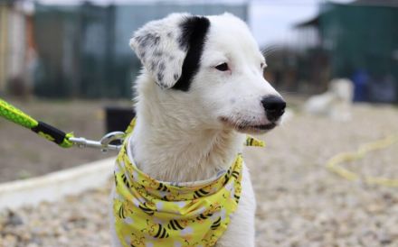 Heavenly - ein kleiner Stern auf der Suche nach ihrem Himmel auf Erden