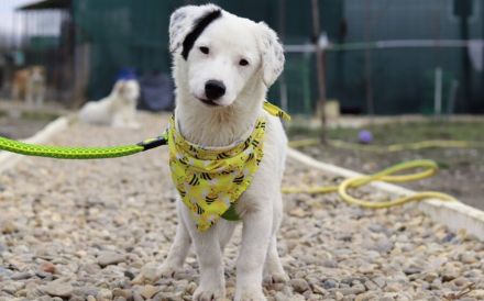 Heavenly - ein kleiner Stern auf der Suche nach ihrem Himmel auf Erden