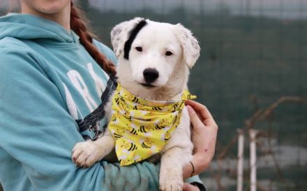 Heavenly - ein kleiner Stern auf der Suche nach ihrem Himmel auf Erden