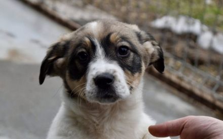 Lea will dein Leben auf den Kopf stellen