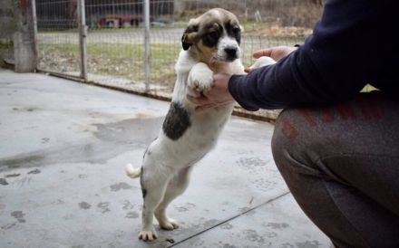 Lea will dein Leben auf den Kopf stellen