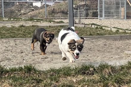 Lea will dein Leben auf den Kopf stellen