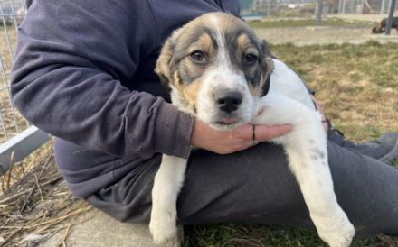 Lea will dein Leben auf den Kopf stellen