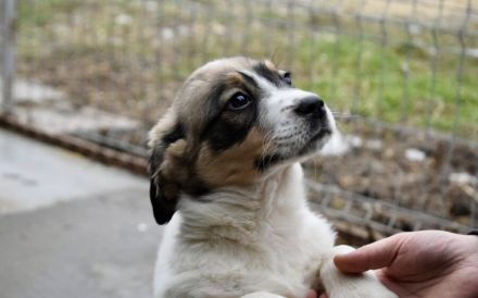 Lea will dein Leben auf den Kopf stellen