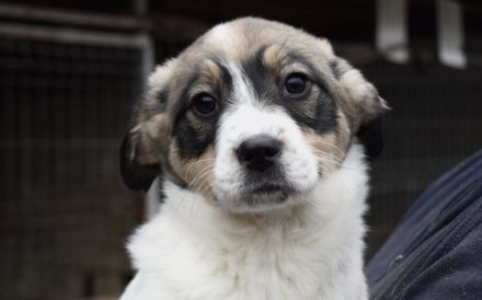 Lea will dein Leben auf den Kopf stellen