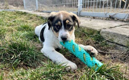 Lea will dein Leben auf den Kopf stellen