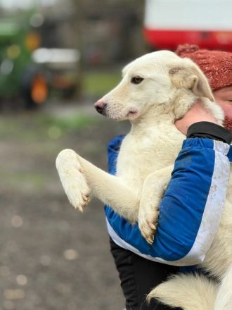 Maribel sucht ihr Für-immer-Zuhause