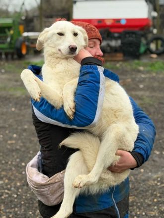 Maribel sucht ihr Für-immer-Zuhause
