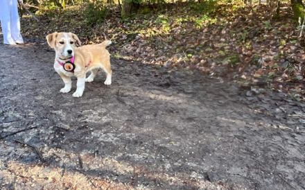 Wer verliebt sich in Chipsy?