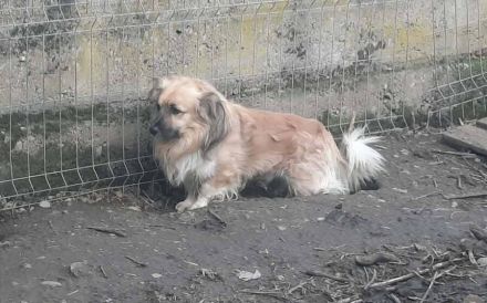 Marvel sucht ein ruhiges Zuhause