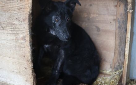Jungspund Baku wartet auf seinen Start ins Glück