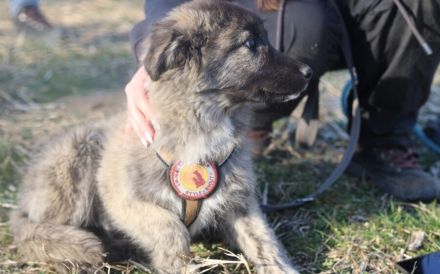 Francesca wartet auf ihre Chance