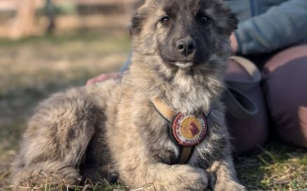 Francesca wartet auf ihre Chance