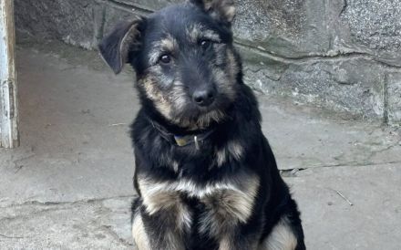 Miss Marple wartet auf ihr Zuhause