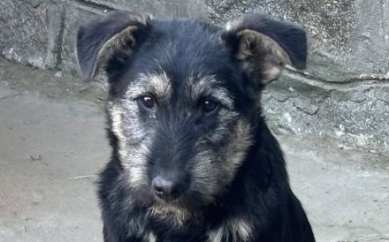 Miss Marple wartet auf ihr Zuhause