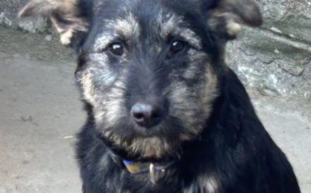 Miss Marple wartet auf ihr Zuhause