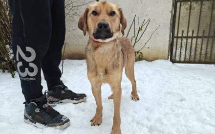 Barrys Koffer ist gepackt