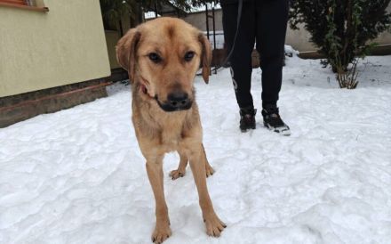 Barrys Koffer ist gepackt