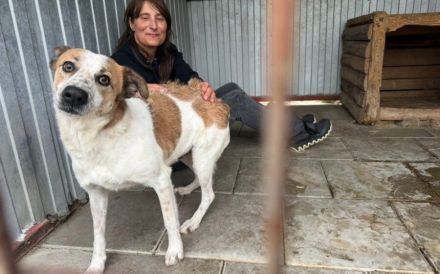 Friedfertige und liebenswerte Ariel sucht geduldiges Zuhause