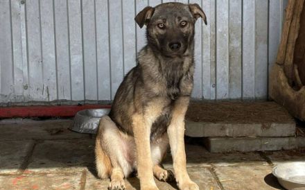 Elodie sehnt sich nach einem Zuhause