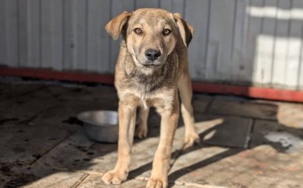 Herzensbrecher Woody will dich erobern