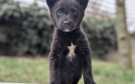 Kleine Seele Marina will umsorgt werden