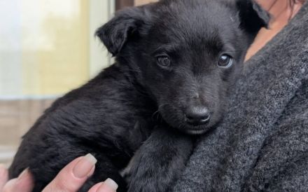 Kleine Seele Marina will umsorgt werden